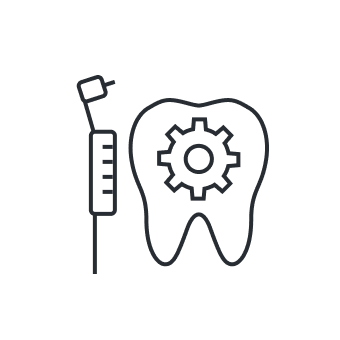 Professional teeth cleaning demonstration